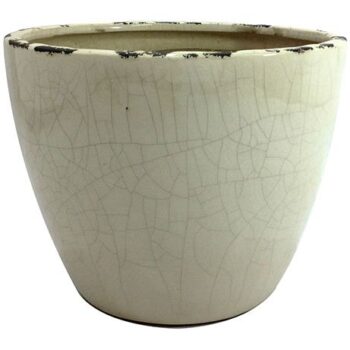 Aluguel de Cachepot Pérola