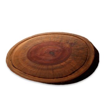 Aluguel de Tronco Oval
