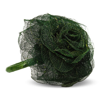 Aluguel de Anel de Guardanapo Flor do Cerrado Verde
