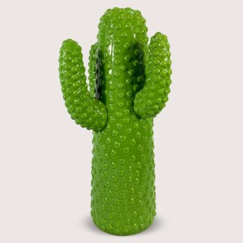 Aluguel de Cacto Verde com 4 Hastes