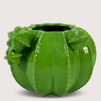 Aluguel de Cacto Verde Redondo Liso com 3 Hastes Pequenas