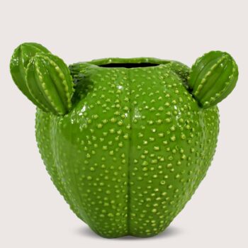 Aluguel de Cacto Verde Redondo com Espinhos e 3 Hastes Pequenas