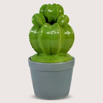 Aluguel de Cacto Verde Redondo com Pote Cinza