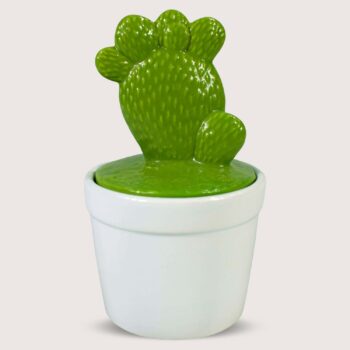 Aluguel de Cacto Verde com Espinho Mãozinha com Pote Branco P