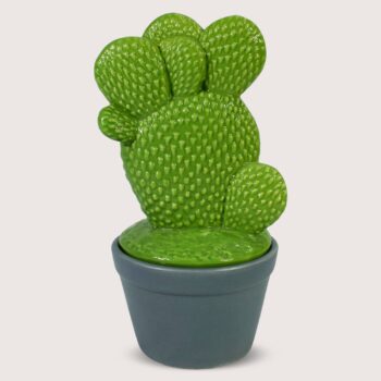 Aluguel de Cacto Verde com Espinho Mãozinha com Pote Cinza M