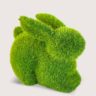 Aluguel de Coelha Graminha Verde Deitada
