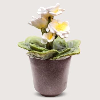 Aluguel de Vasinho de Flor Amor Perfeito