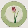 Aluguel de Prato de Mesa Tulipa Rosa Borda Verde 27cm