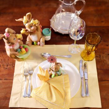 Aluguel de Conjunto Bunny Garden