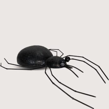Aluguel de Aranha Halloween